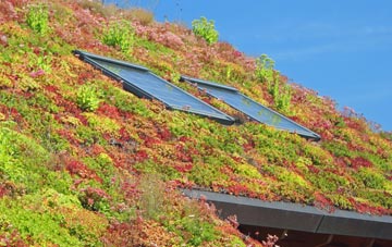 Loders living roof systems