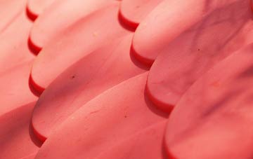 Loders plastic roof costs